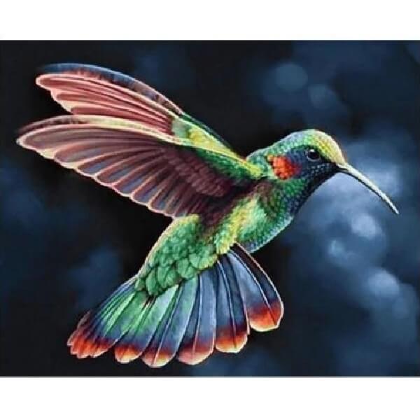 Kolibri