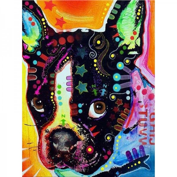 Bunter Boston Terrier