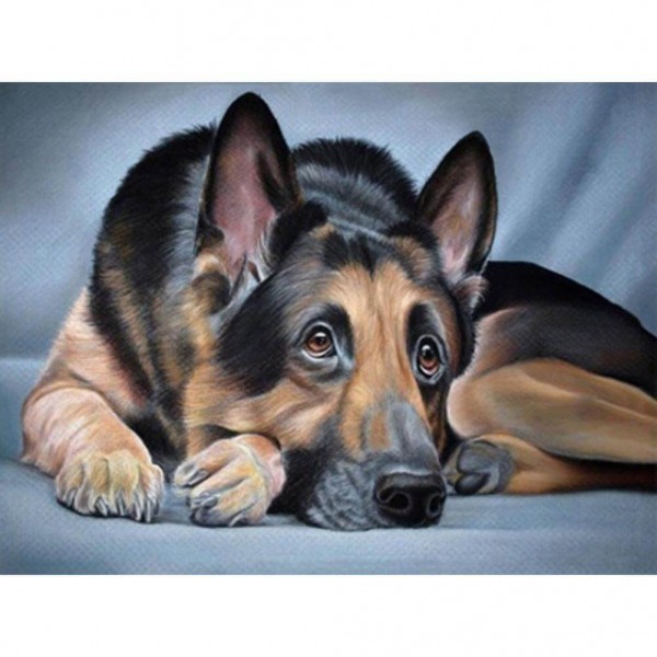 Deutscher Schäferhund