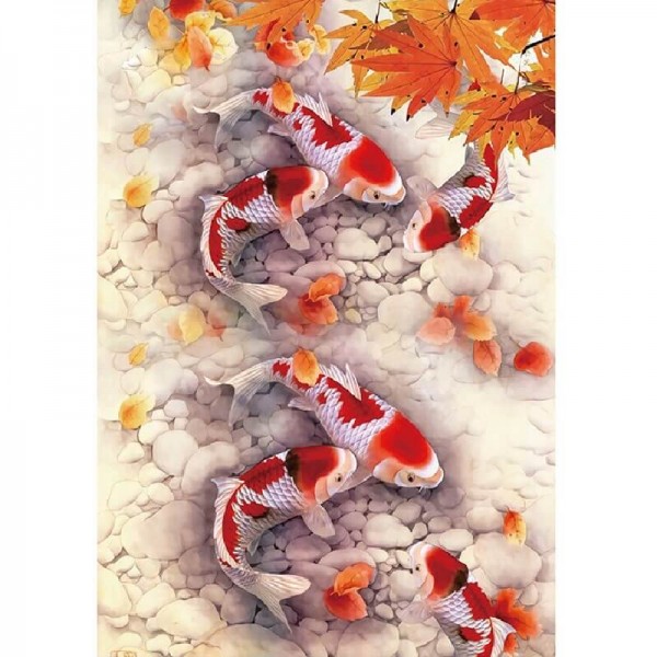 Koifisch