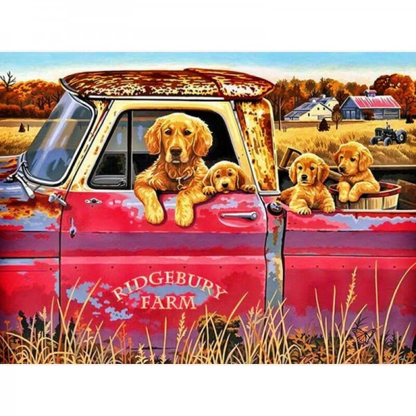 Hunde im Auto