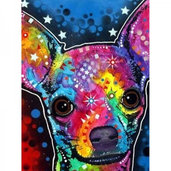 Bunter Chihuahua