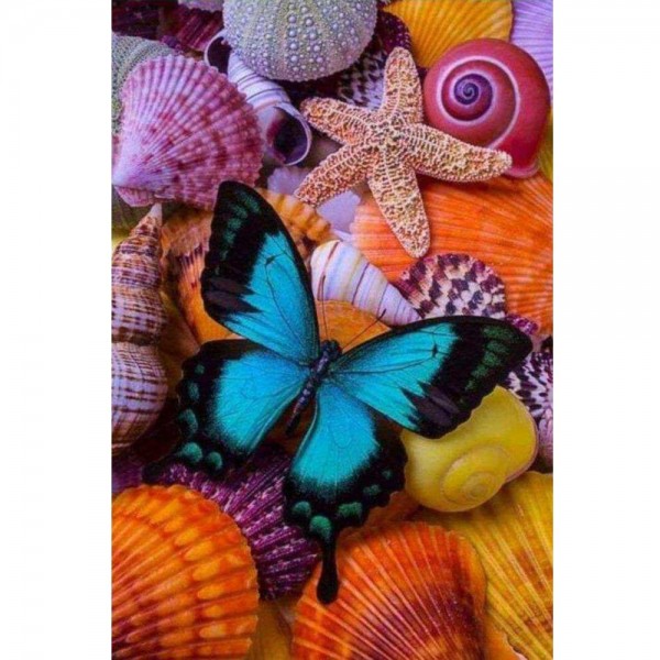 Schmetterling auf Muscheln