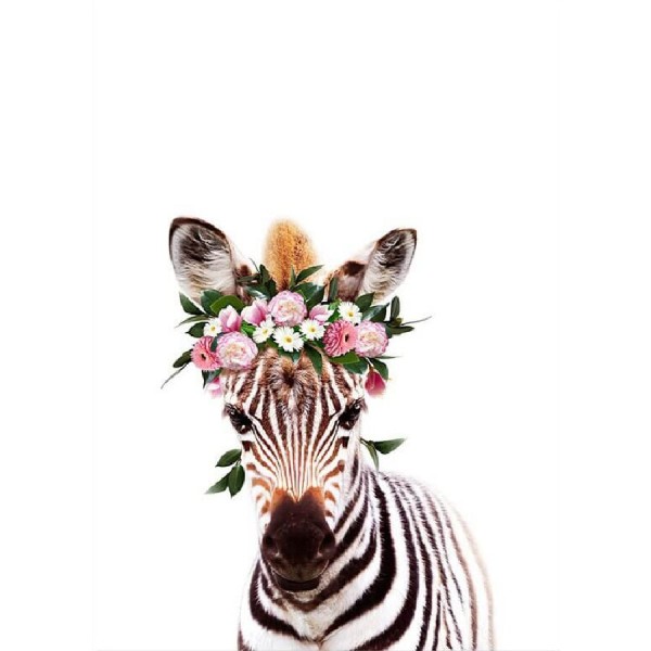 Zebra mit Kranz