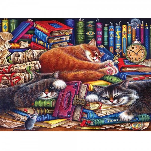 Katzen auf Büchern