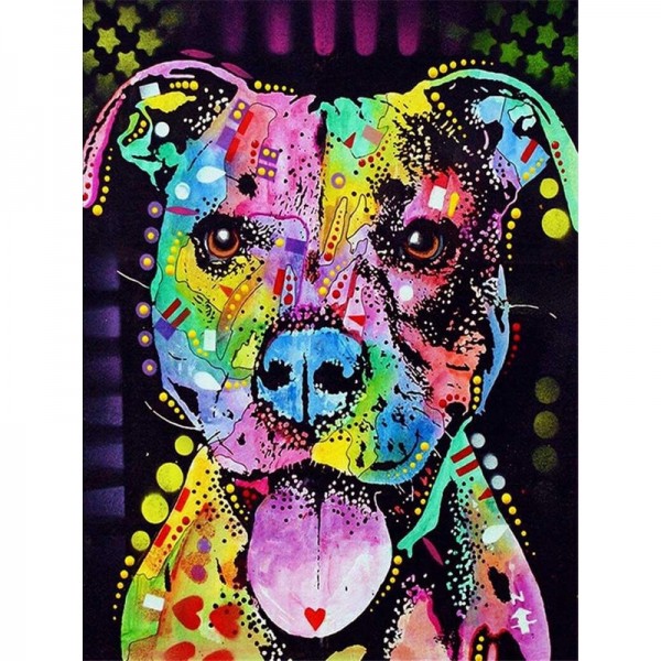 Bunter Pitbull