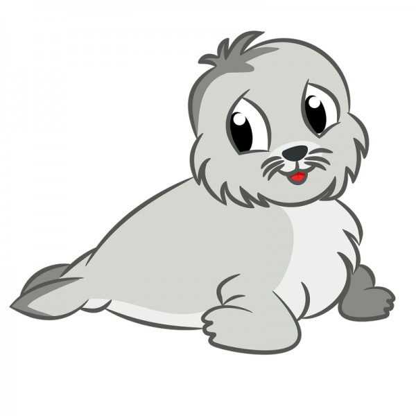 Seehund