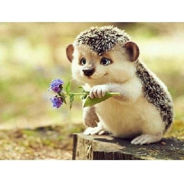 Igel mit Blumen