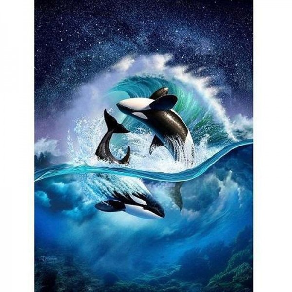 Orcas im Golf