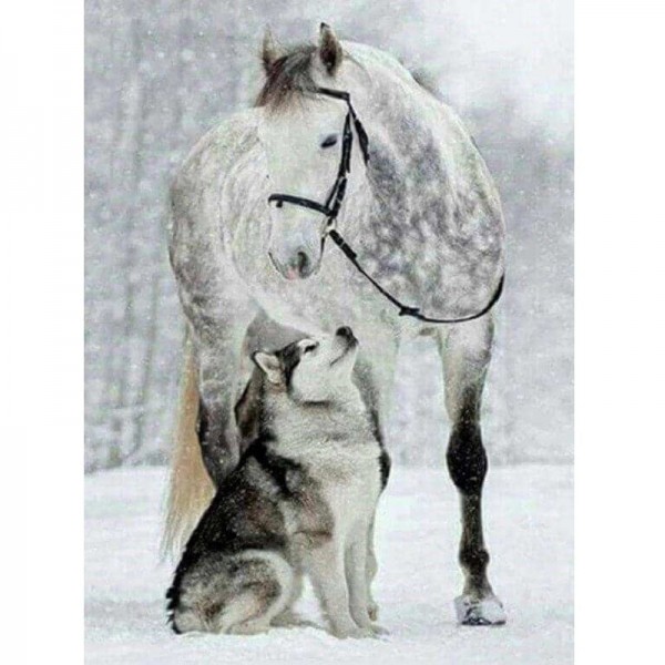Pferd und Wolf