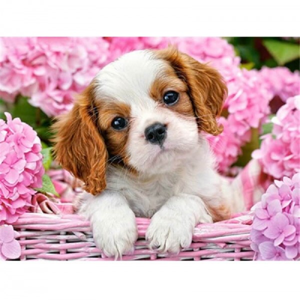 Welpe in Blumen