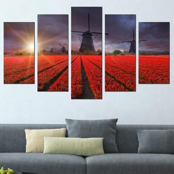 Windmühlen im Tulpenfeld | 5 Teile