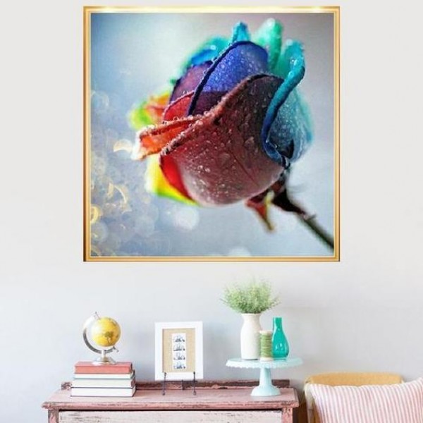 Farbige Rose ab 50x50cm