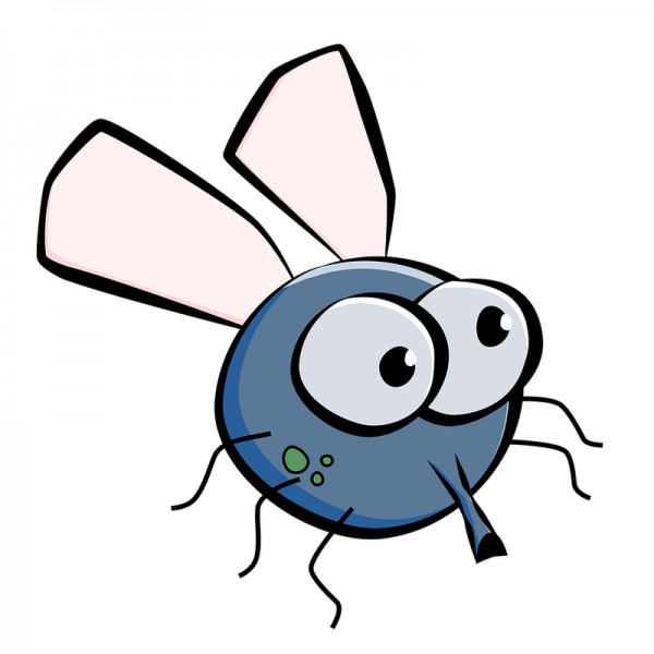 Moskito