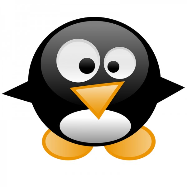 Pinguin
