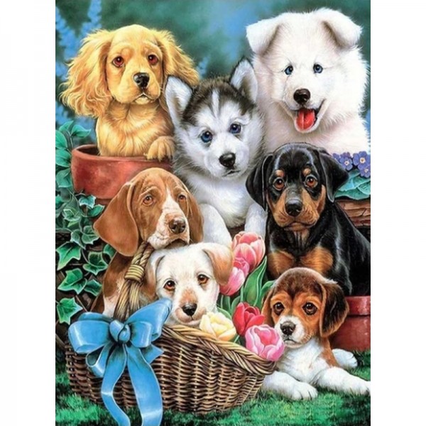 Hundewelpen