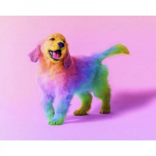 Regenbogen-Labrador