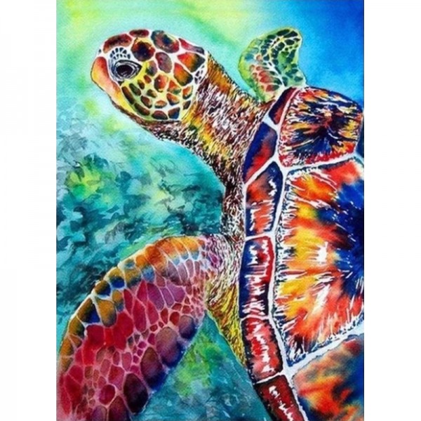 Bunte Schildkröte