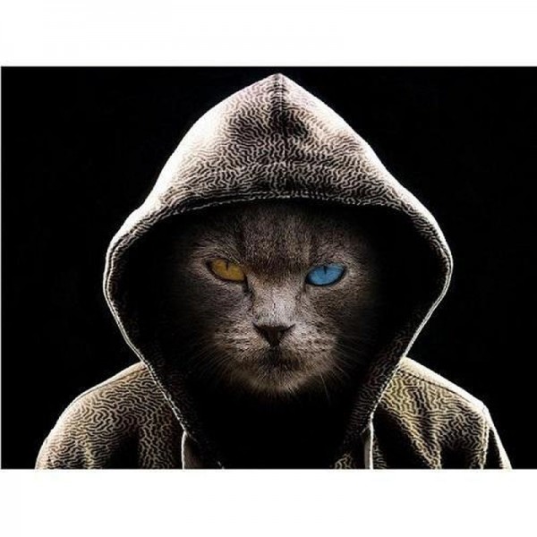 Coole Katze mit Kapuze