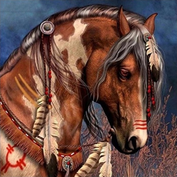 Indisches Pferd