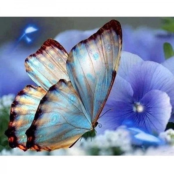 Schmetterling