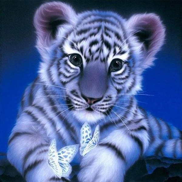 Tiger Junges