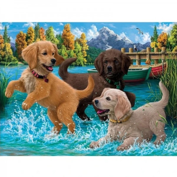 Spielende Hunde
