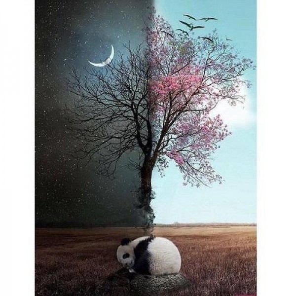 Tag- und Nachtpanda