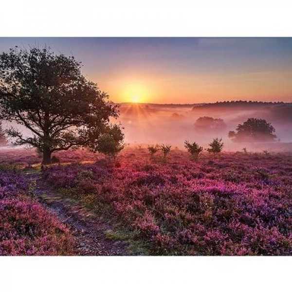 Niederländische Veluwe