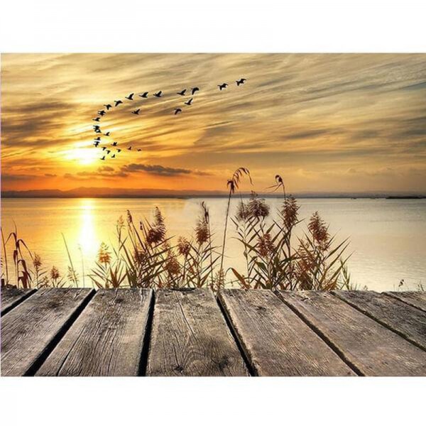 Vögel über dem Meer