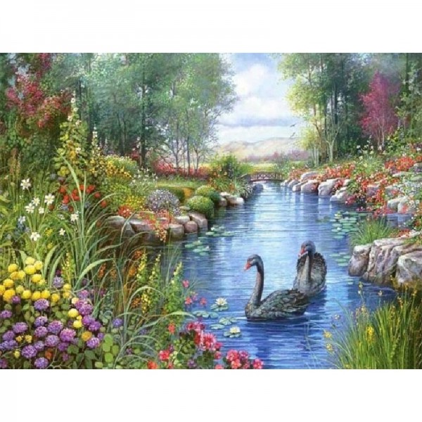 Enten im Fluss