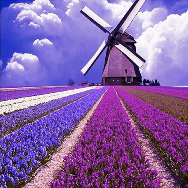 Mühle Violet