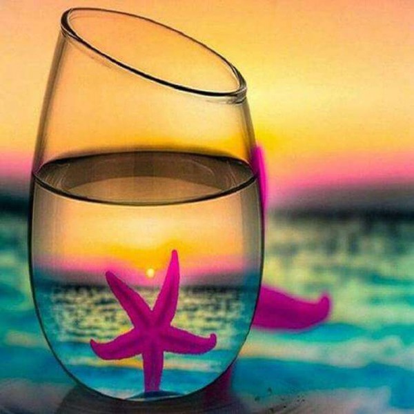 Seestern im Glas