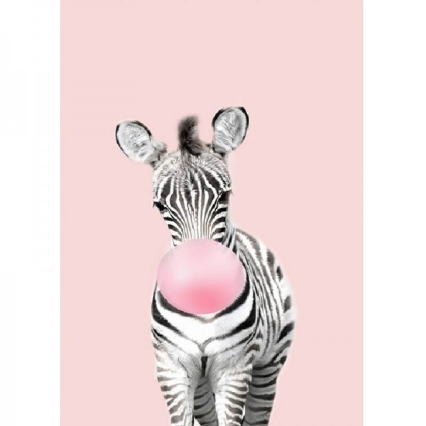 Baby Zebra-Rosa