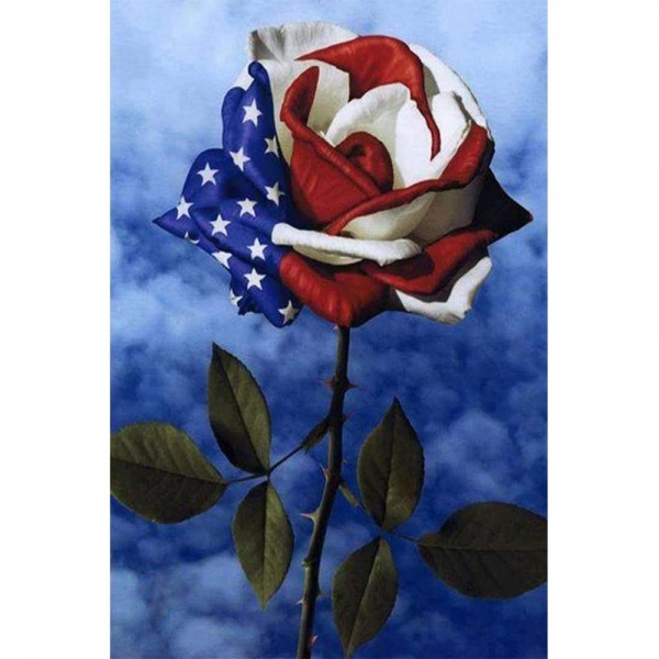 Rose mit amerikanischer Flagge