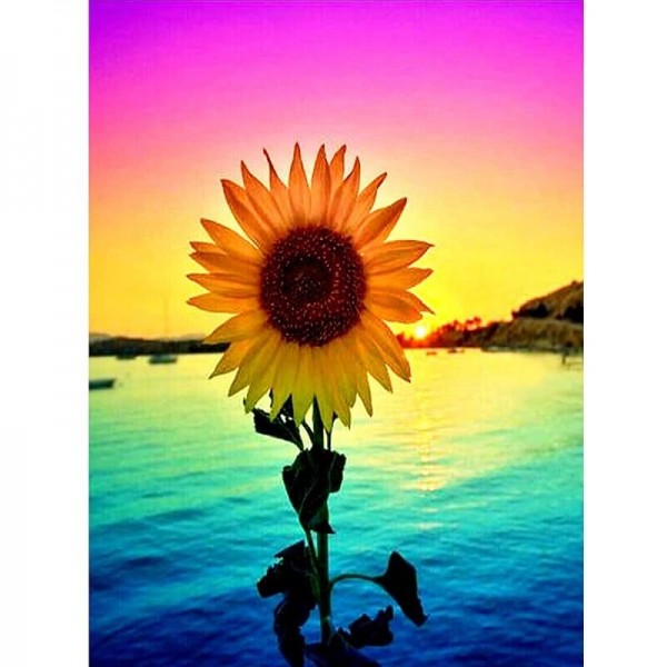 Sonnenblume in der Abenddämmerung