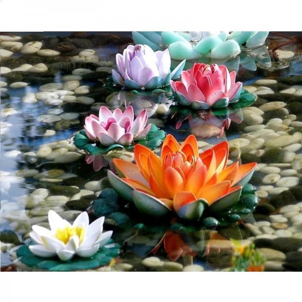 Lilien