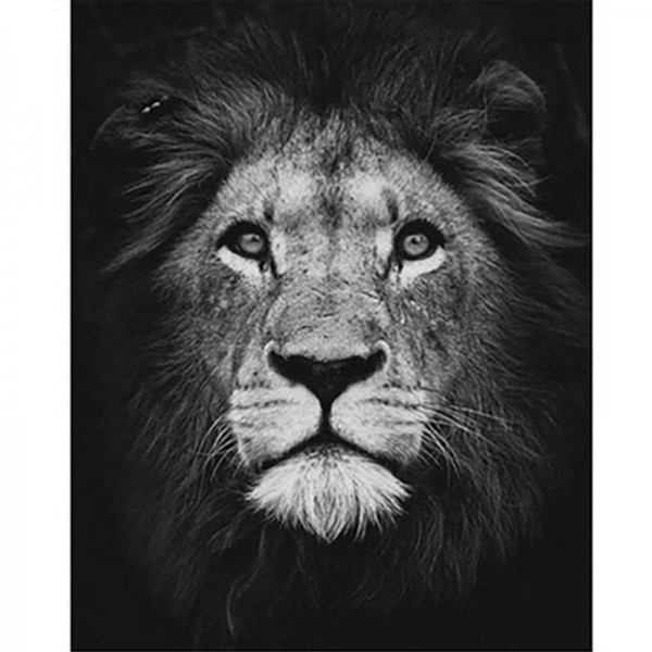 Löwe schwarz/weiß | Malen nach Zahlen