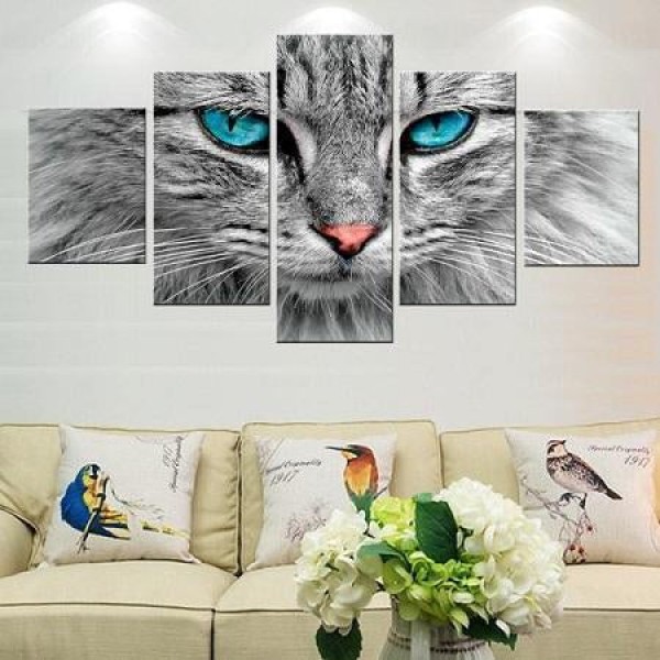 Katze | 5 Teile