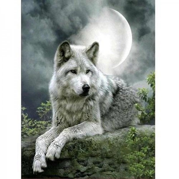 Wolf im Mondlicht