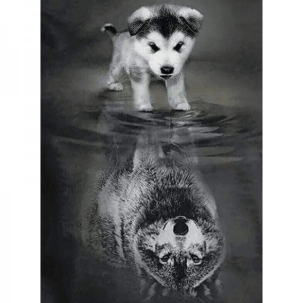 Wolf-Spiegelung