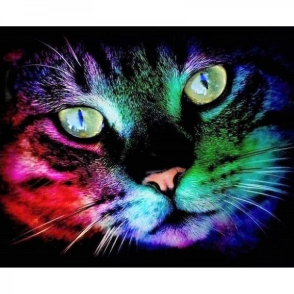 Regenbogen-Katze