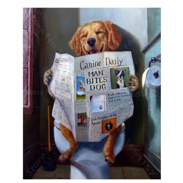 Hund auf Toilette