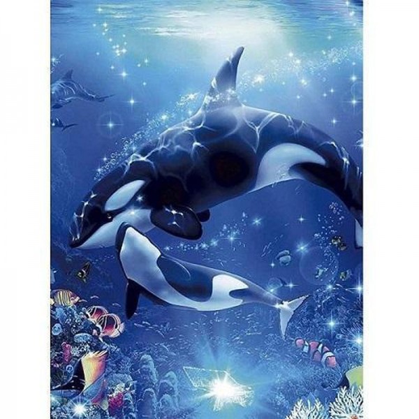 Orca mit Jungtier