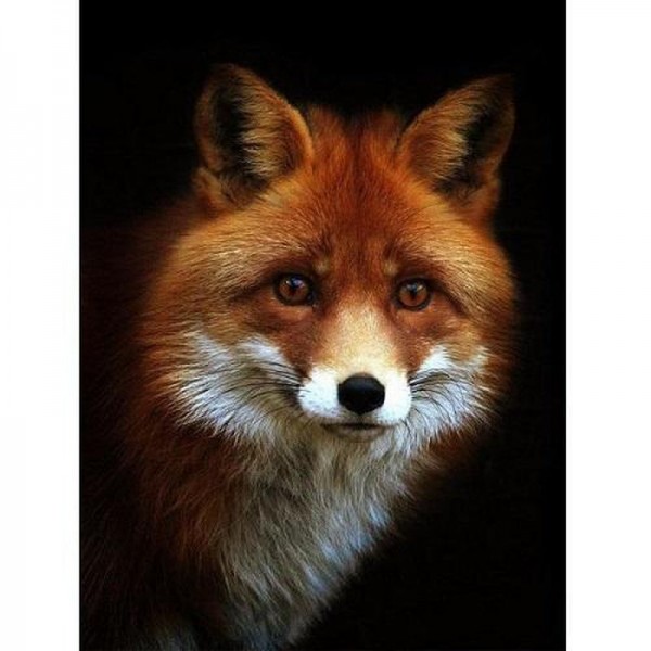 Fuchs