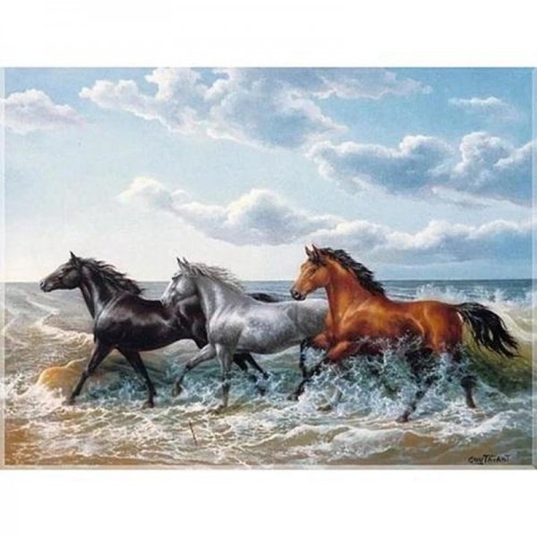 Pferde im Galopp