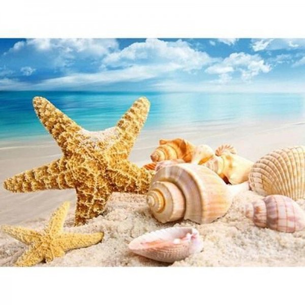 Seesterne am Strand