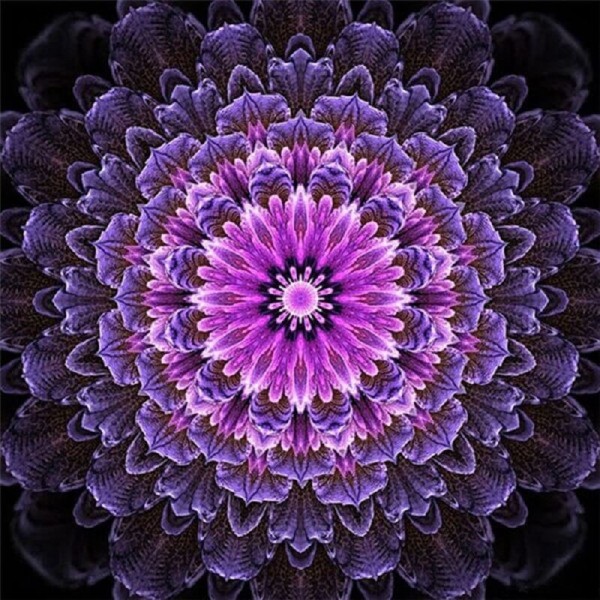 Mandala-lila