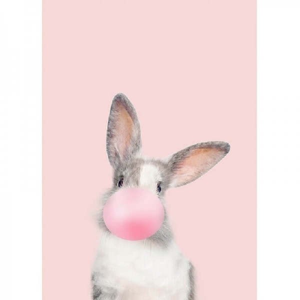Baby Hase-Rosa