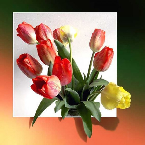 3D-Blumen | 11 Sorten